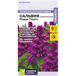 Сальвия Редди Парпл сверкающая/Сем Алт/цп 5 шт.