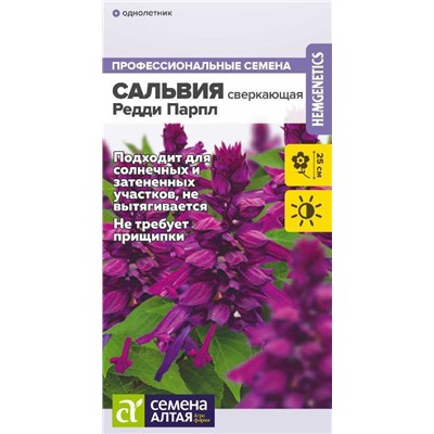 Сальвия Редди Парпл сверкающая/Сем Алт/цп 5 шт.