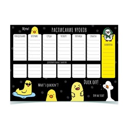 Расписание уроков "пиши-стирай" А3 СТИЛЬ мелованный картон Schoolformat