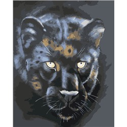 Картина по номерам на подрамнике Черная пантера 40х50