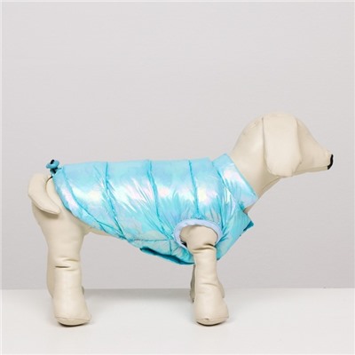 Куртка для собак двухсторонняя с утяжкой, размер 18 (ДС 40 см,ОГ 50 см,ОШ 38 см),голубая