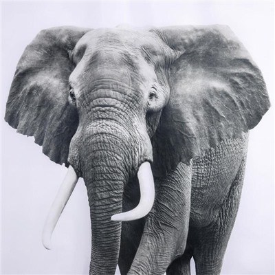 Штора для ванны Доляна «Слон», 180×180 см, полиэстер