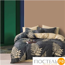 TPIG4-1900 КОД1050 Twill 1,5 спальный 1,5-спальный 50x70 (1 шт), 70x70 (1 шт) Сатин (Твил) Коробка