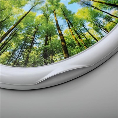 Сиденье с крышкой для унитаза Росспласт «Декор. Лес», 44.5 х 37.5 см, цвет белый