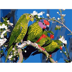 Картина по номерам на картоне Волнистые попугаи 30х40
