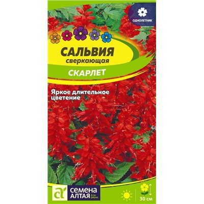 Сальвия Скарлет сверкающая/Сем Алт/цп 0,1 гр.