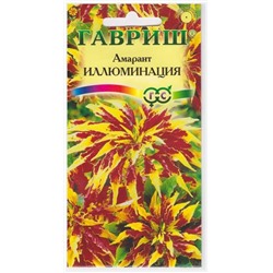 Амарант Иллюминация