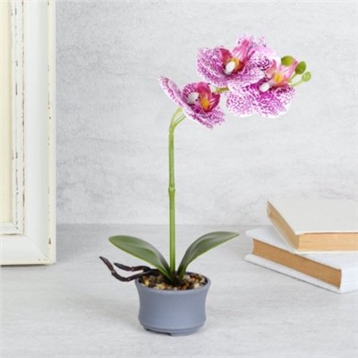 Цветочная композиция Орхидея 25 см / LM-795 /уп 144/