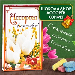 Шоколадные конфеты в коробке «1 сентября», Ассорти, 125 г