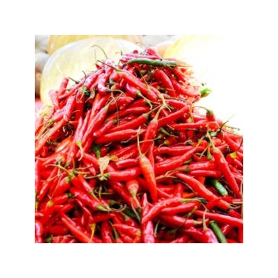 Перец Пепперони Итальянский Классический — Pepperoni Pepper (10 семян)