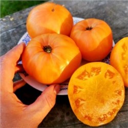 Помидоры Оранжевый Джаз — Orange Jazz Tomato (10 семян)