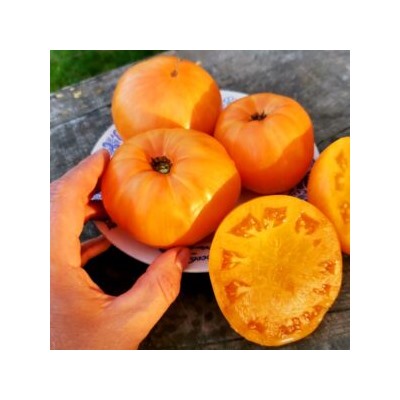 Помидоры Оранжевый Джаз — Orange Jazz Tomato (10 семян)