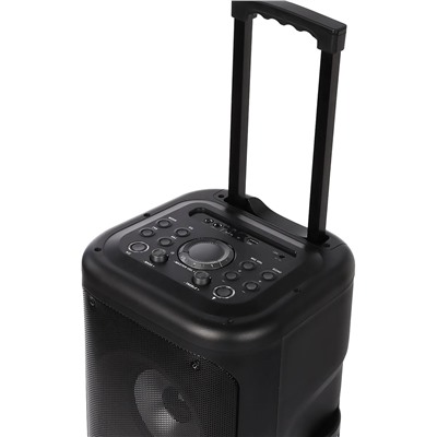 Портативная акустика напольная Smart Buy SBS-5350 MY DISCO, микрофон (black)