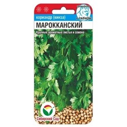 Кориандр Мароканский