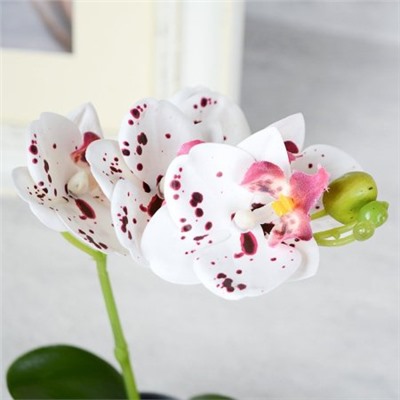 Цветочная композиция Орхидея 25 см / LM-795 /уп 144/