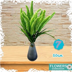 Декоративное растение Пырей, цвет зелёный, 50 см, 7 голов
