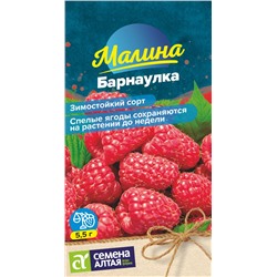 Ягода Малина Барнаулка красная/Сем Алт/цп 0,03 гр. НОВИНКА