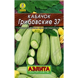 Кабачок Грибовский 37