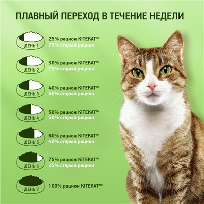 Сухой корм KiteKat "Аппетитная телятинка" для кошек, 350 г