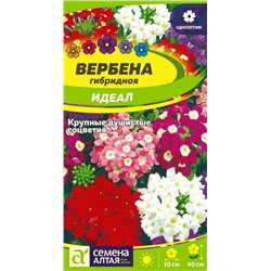 Вербена Идеал гибридная/Сем Алт/цп 0,1гр.