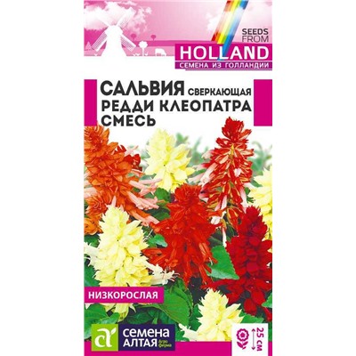 Сальвия Редди Клеопатра сверкающая/Сем Алт/цп 5 шт. ГОЛЛАНДИЯ