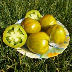 Помидоры — Green Bell Pepper — Перцевидный Зелёный (10 семян)