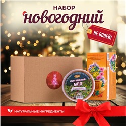 Новогодний набор для поддержания иммунитета  "Не болей!"