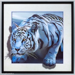 Картина 5D 40х40 025 Белый тигр / 2002B-012C /