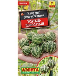 Кукумис декоративный Усатый-полосатый