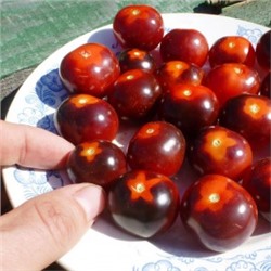 Помидоры — Blue Berry Cherry — Черри Черника (10 семян)