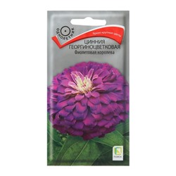 Семена цветов Цинния георгиноцветковая "Фиолетовая королева" 0,4 г