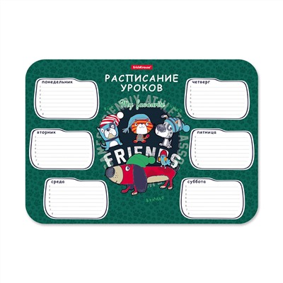 ErichKrause® Расписание уроков "Adventure Friends" пластиковое формат: А4 (поштучно) арт.58305