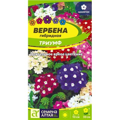 Вербена Триумф гибридная/Сем Алт/цп 0,1 гр.