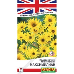 Подсолнечник Максимилиан