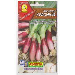 Лук Батун Красный