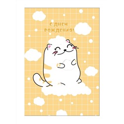 Пакет бумажный подарочный L "С Днем рождения. Кот на облаке" желтый в клетку 23x11x33 см (018)