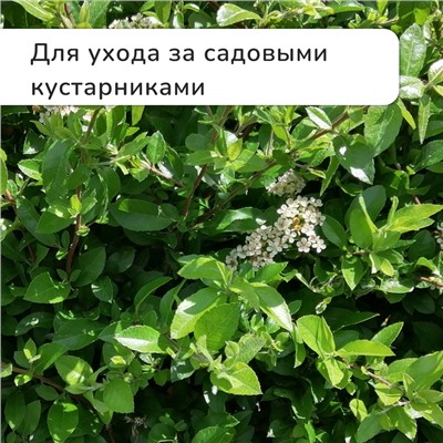 Секатор плоскостной, 9" (23 см), с пластиковыми ручками, МИКС, Greengo