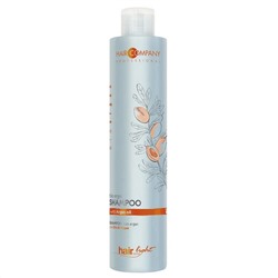 Hair Company Professional Шампунь для волос с биомаслом арганы / Hair Light Bio Argan Shampoo, 250 мл