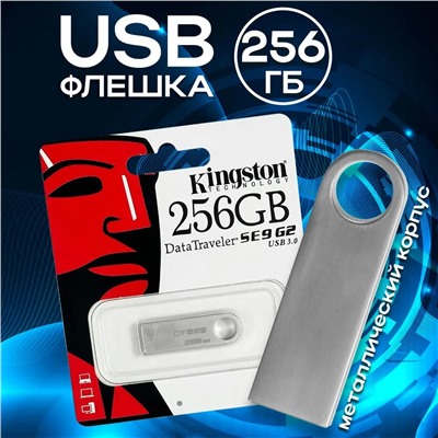 Флэшкарта USB Kingston DT-101 256GB