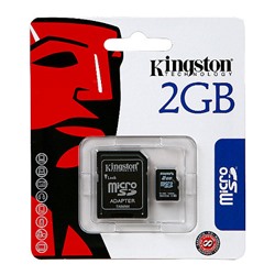 Kingston Micro 2GB