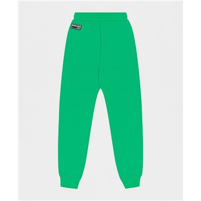 брюки зеленый