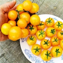 Помидоры Сербская Тыквочка Бундивиче — Bundevice Tomato (10 семян)