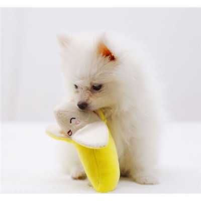 Мягкая игрушка для собак и кошек Банан.