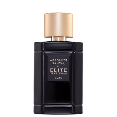 Туалетная вода Absolute Santal by Elite Gentleman для него, 50 мл