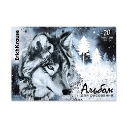 Альбом д/р на клею Wolf, А4, 30л