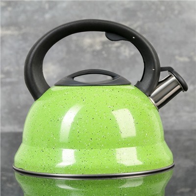 Чайник со свистком 2,8 л "Рио", фиксированная ручка, цвет зеленый