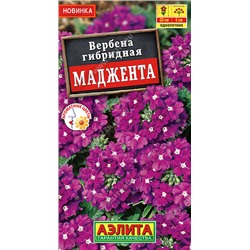 Вербена Маджента