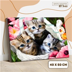 Картина по номерам на холсте с подрамником «Котята» 40х50 см