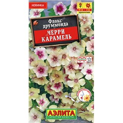 Флокс друммонда Черри карамель