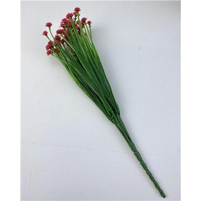 Мимоза красная 35 см, декоративное растение